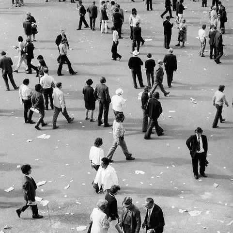 Wellington City Alive - 50 Years&nbsp;