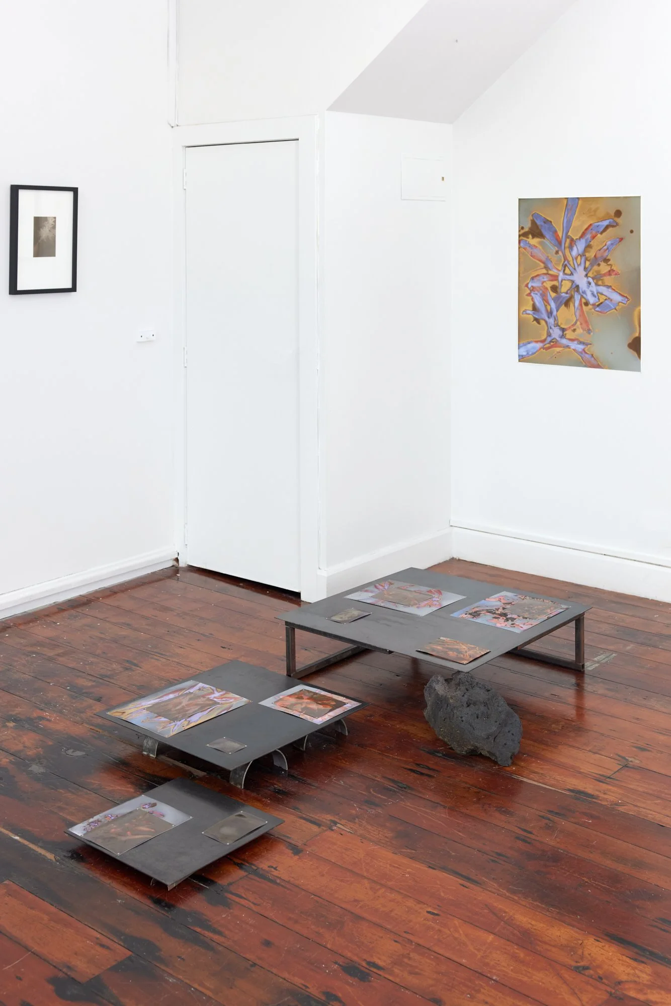 Shelley Simpson, Rhizosphere, 2026