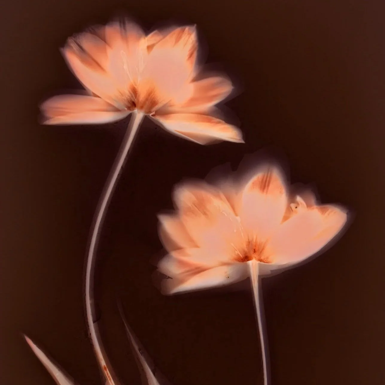 Glimmers