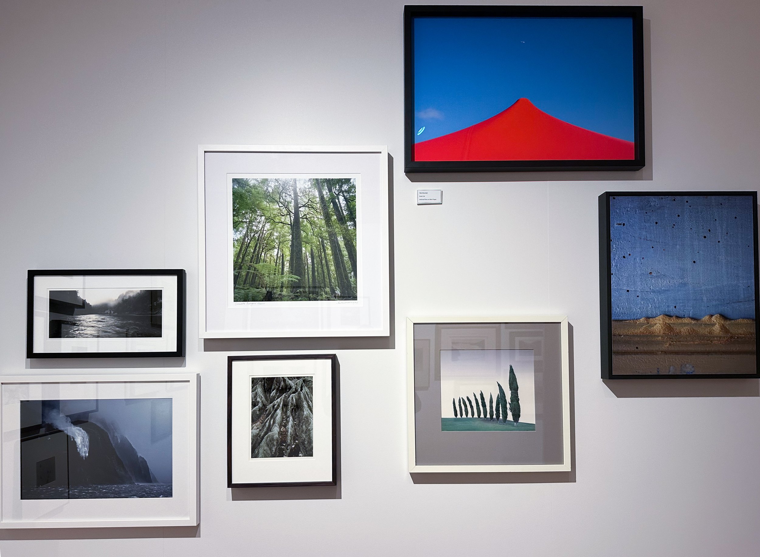 Amoa – Aorere Museum of Art Opens in Mohua