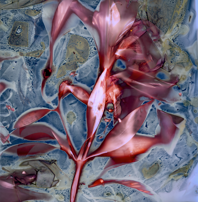 Surface Memory