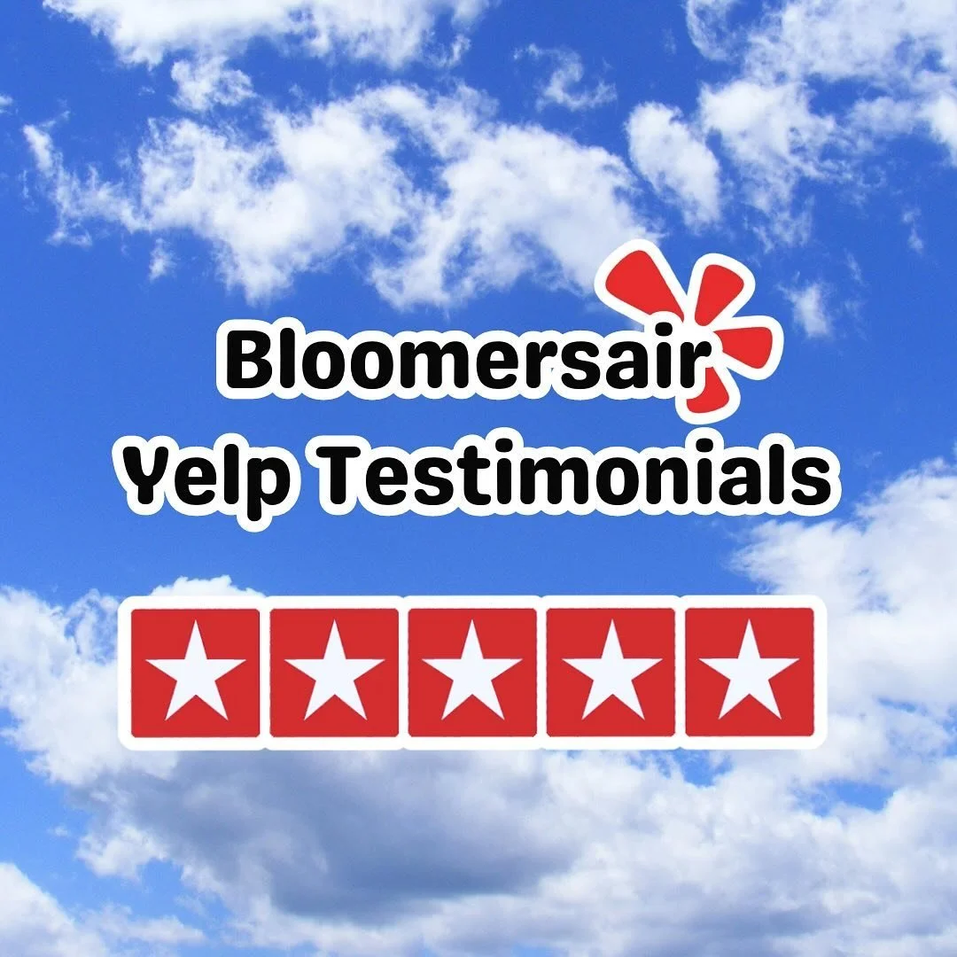 With raving reviews from customers everywhere Bloomersair stock is predicted to overcome Boeing! 

Invest now by buying your tickets 🎟️ to Bloomers spring show at the link in our bio! Seats are selling fast! Make sure to buy now so you don&rsquo;t g