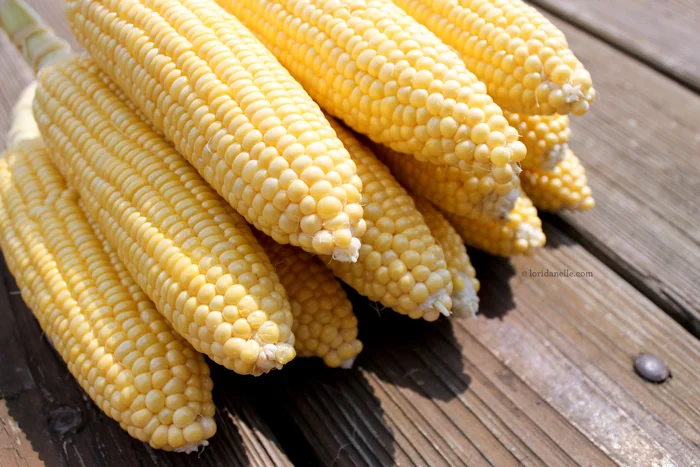 chipotle-butter-corn-cob-02.jpg