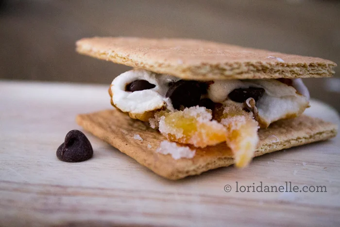 LoriDanelle_OrangeSmores_10.26.2012_10.jpg
