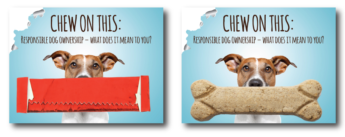 To Chew or Not to Chew...