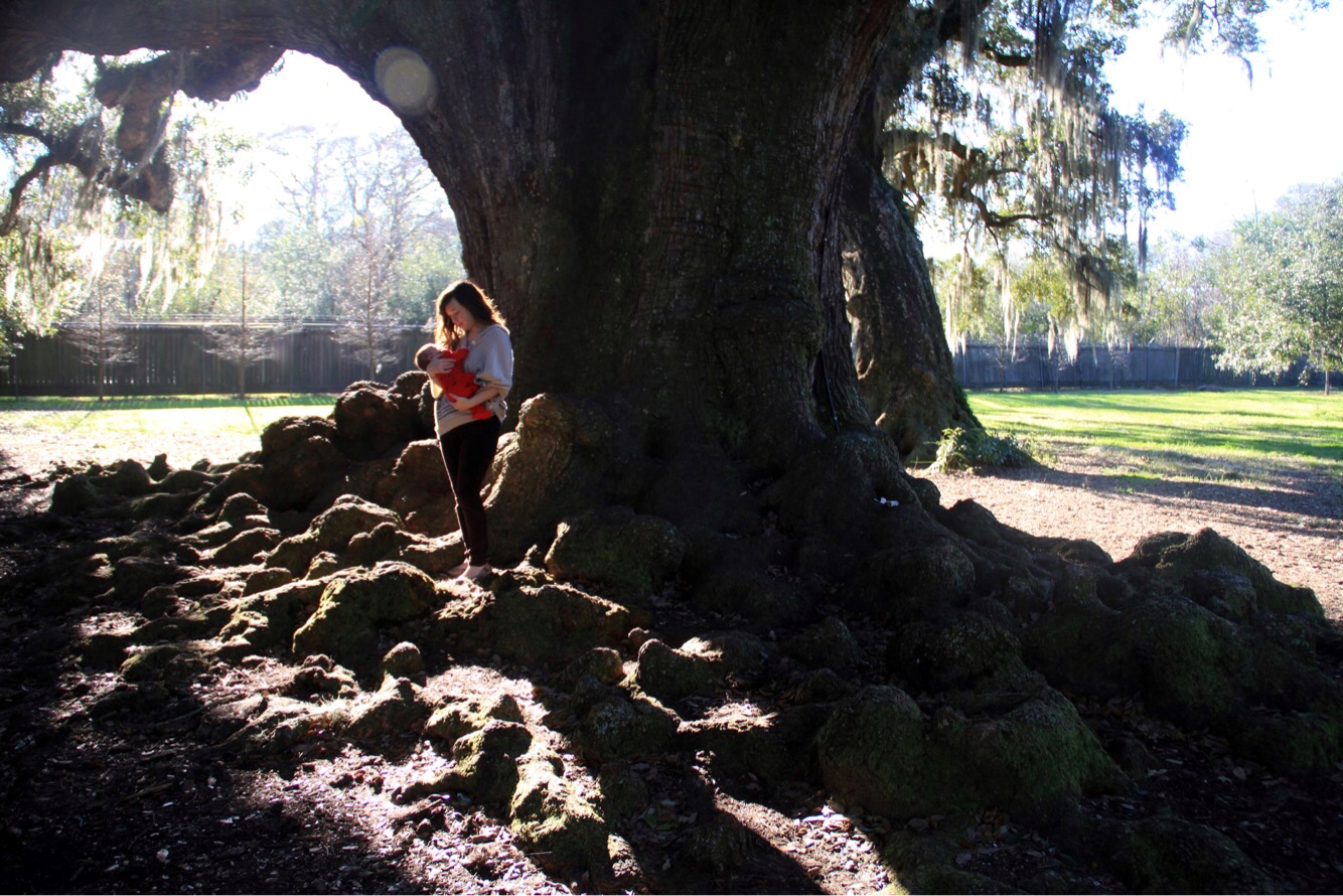 treeoflife.jpg