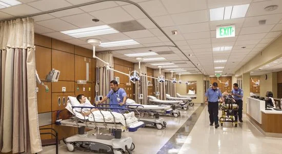 PVHMC-ED.jpg