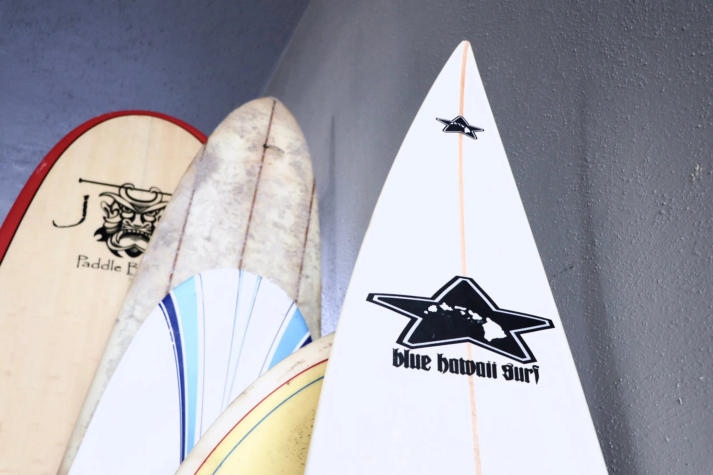 SURFTHEROSEHOTEL.jpg