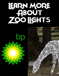 zoolightsbutton.png
