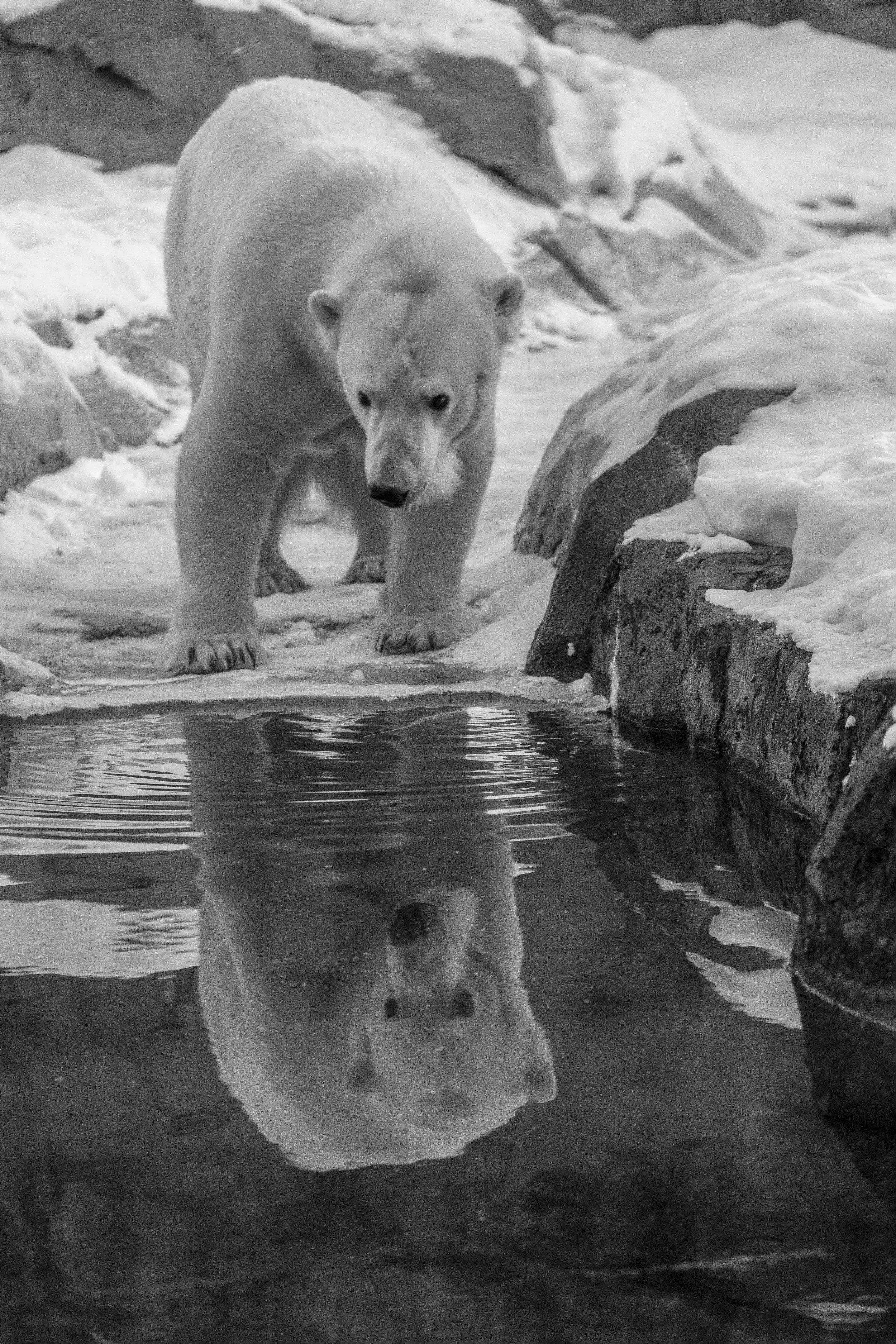 01_015_cranbeary_062.jpg