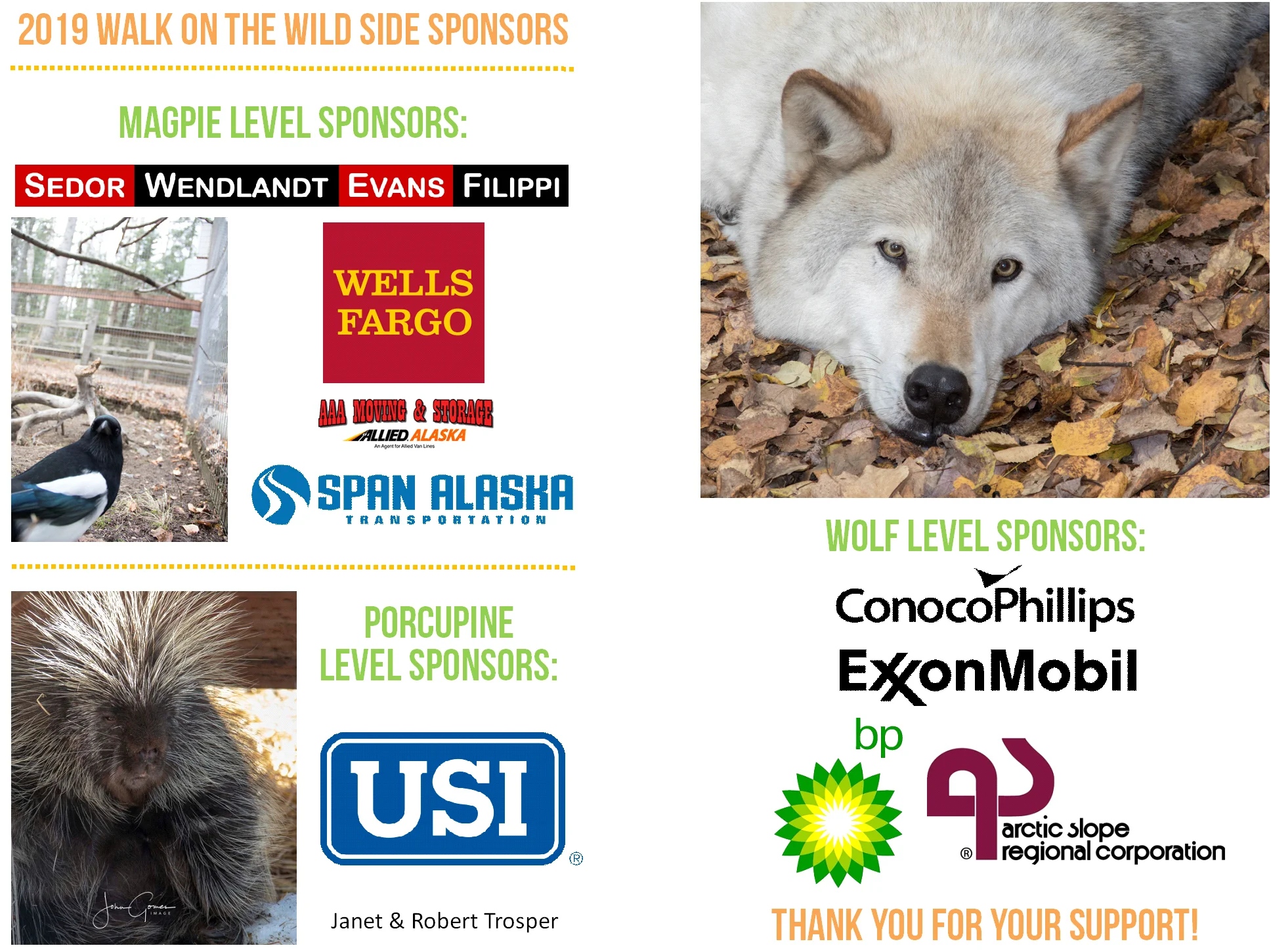sponsors graphic.jpg