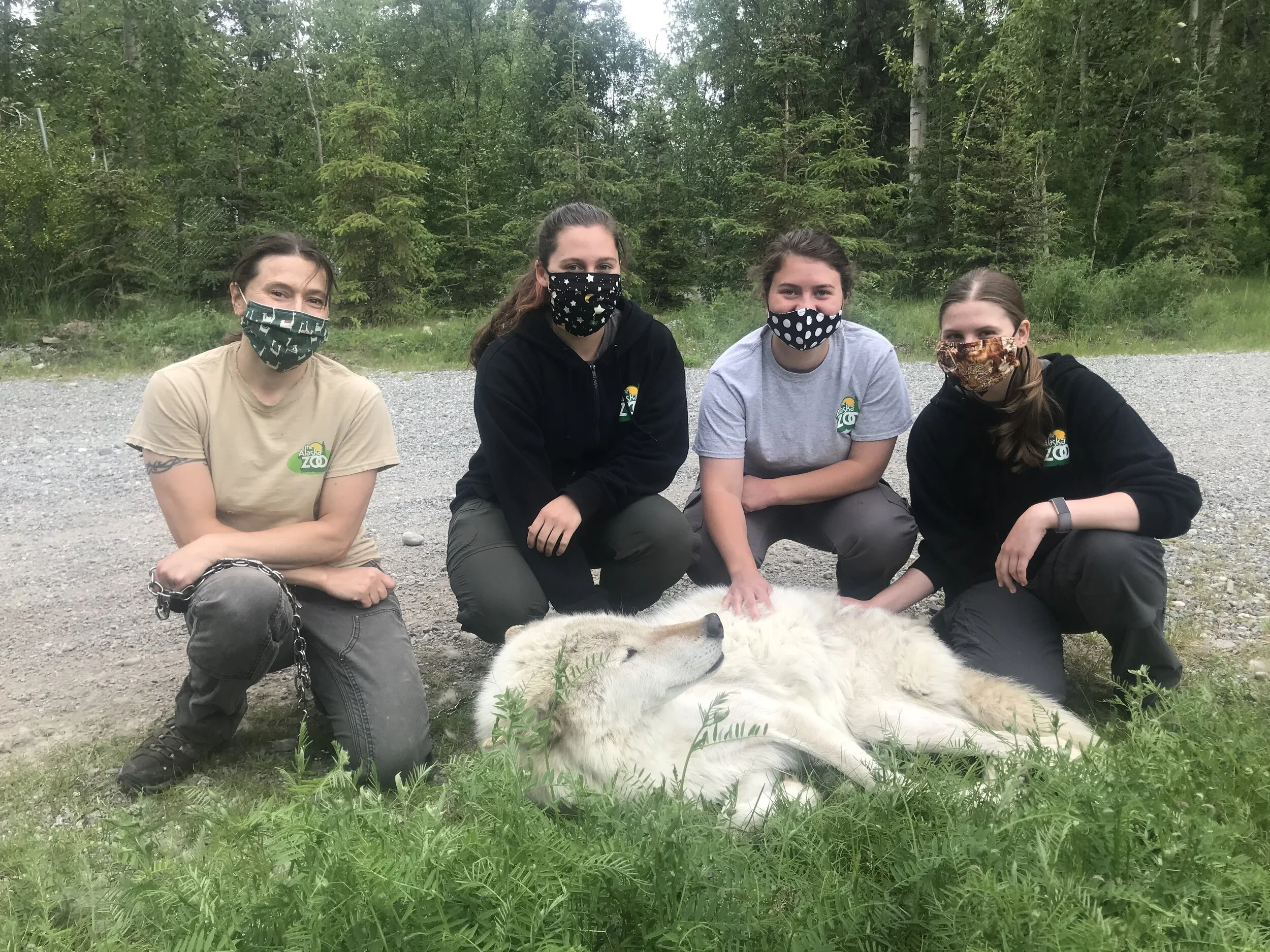 Internships — The Alaska Zoo