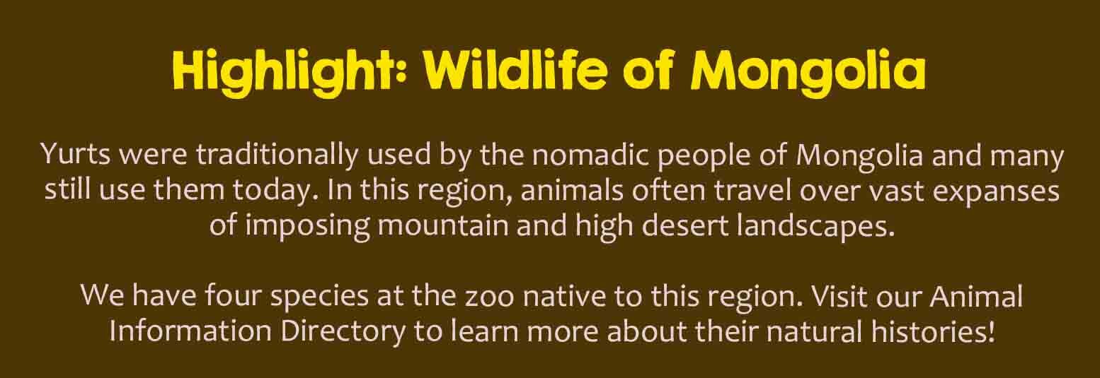 mongolian wildlife text.jpg