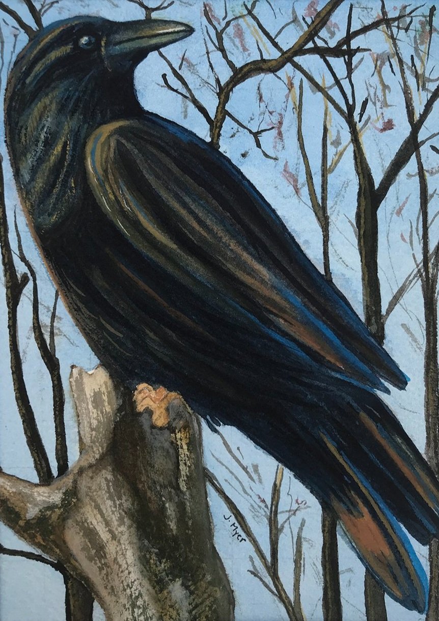 Raven Print