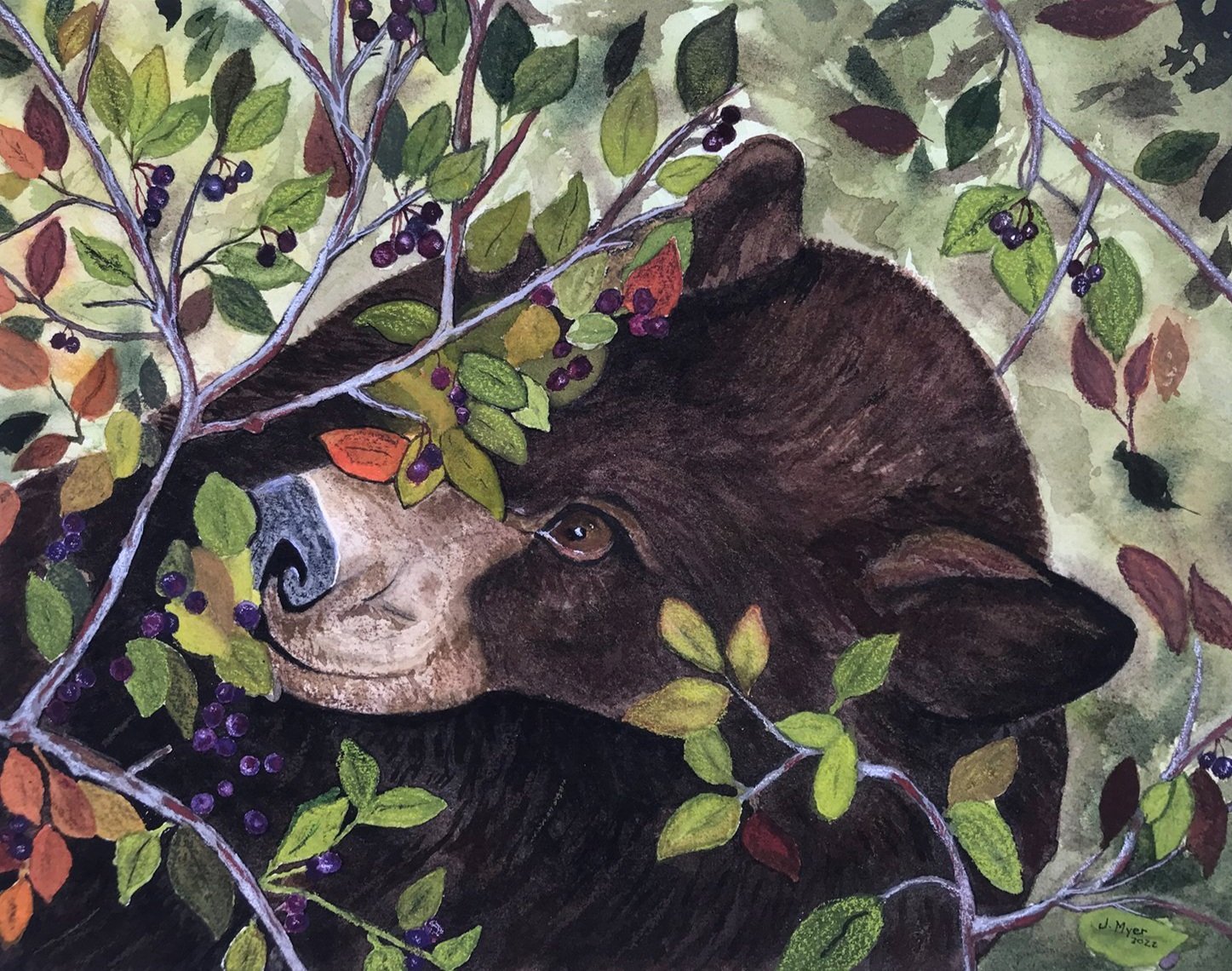 Black Bear Print