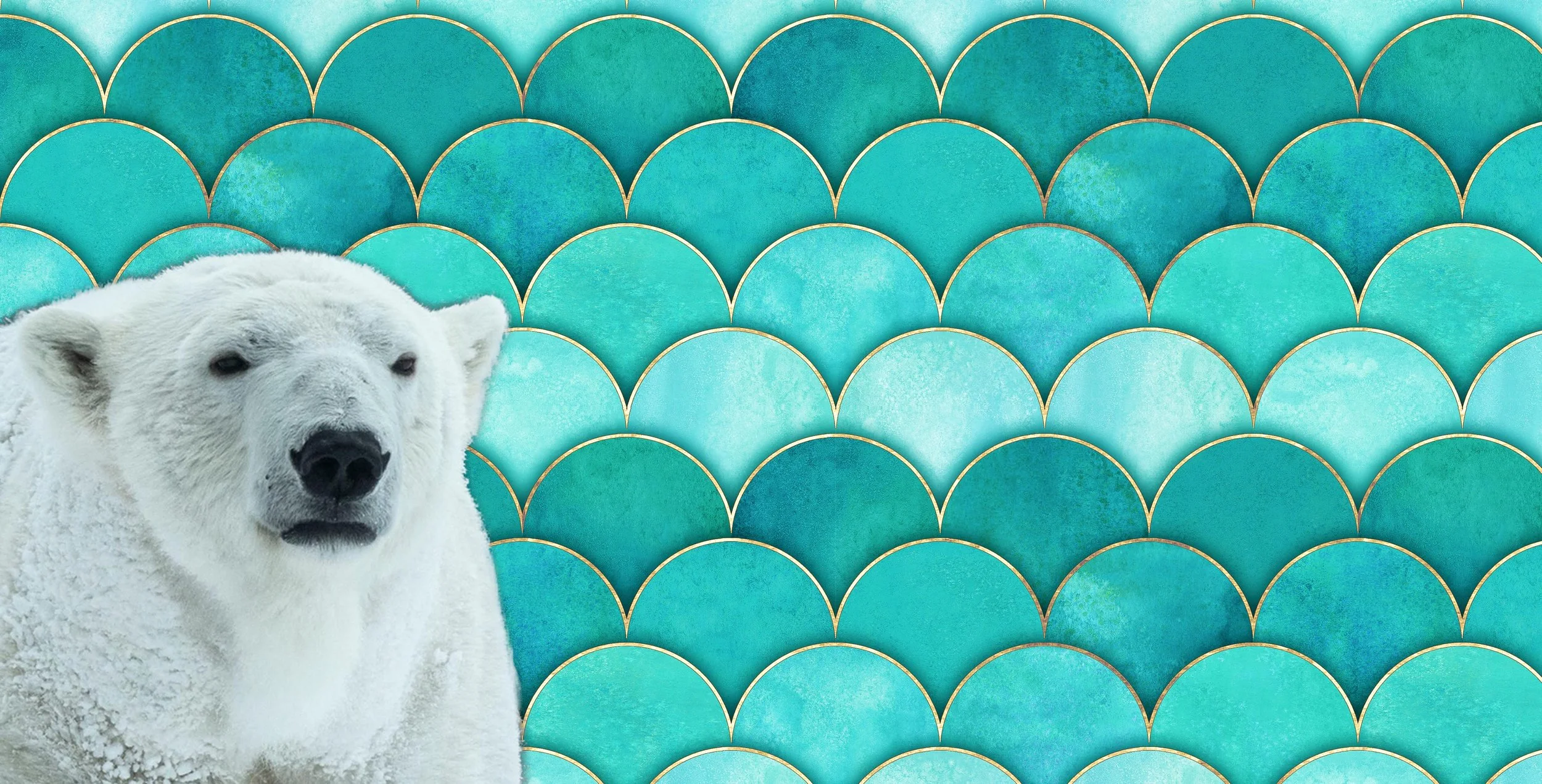 2022 christmas card web banner.jpg