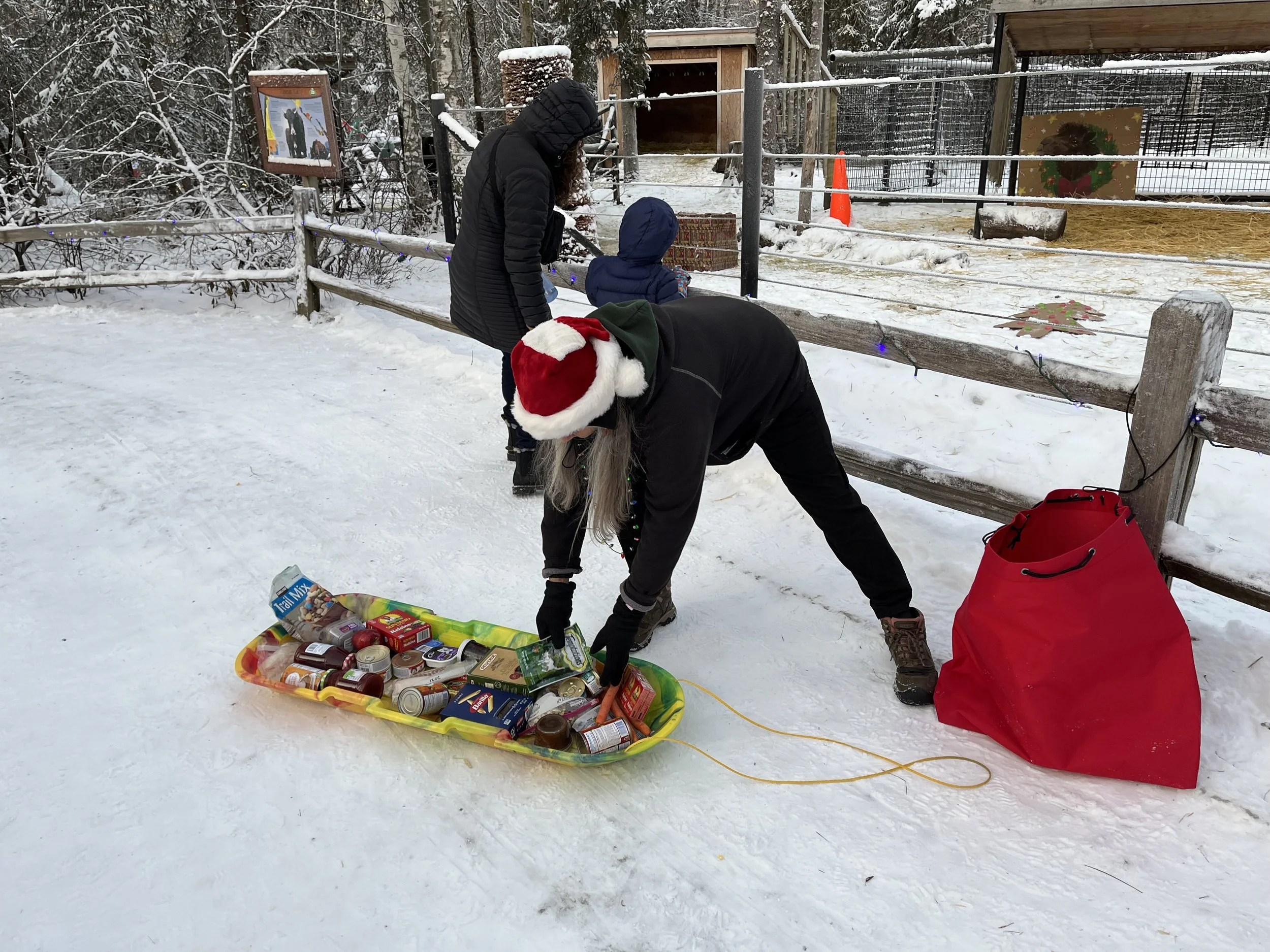 Christmas for the Animals + Zoo Lights