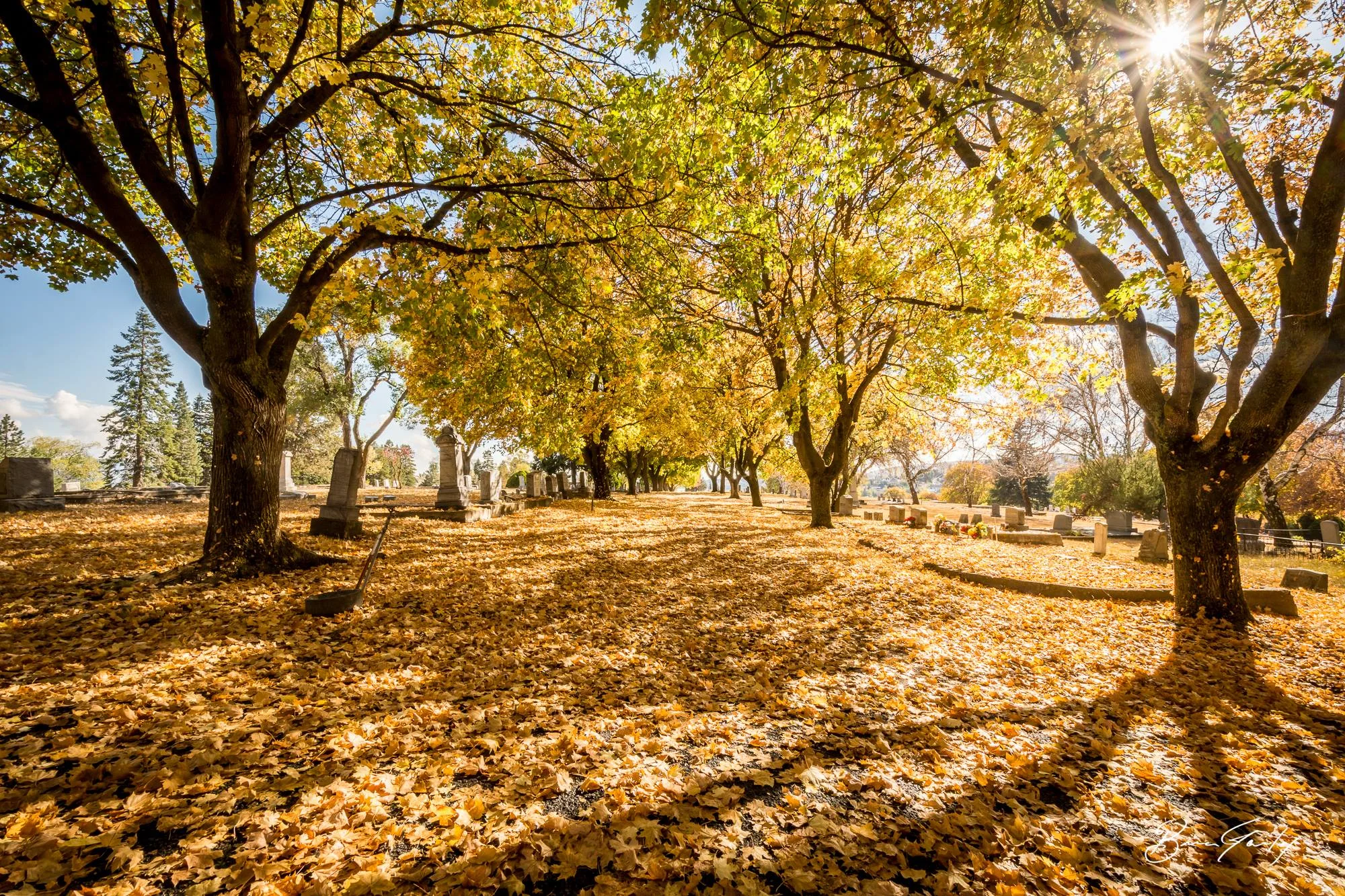 Fall Colors at the Linkville Cemetery - Image: Brian Gailey