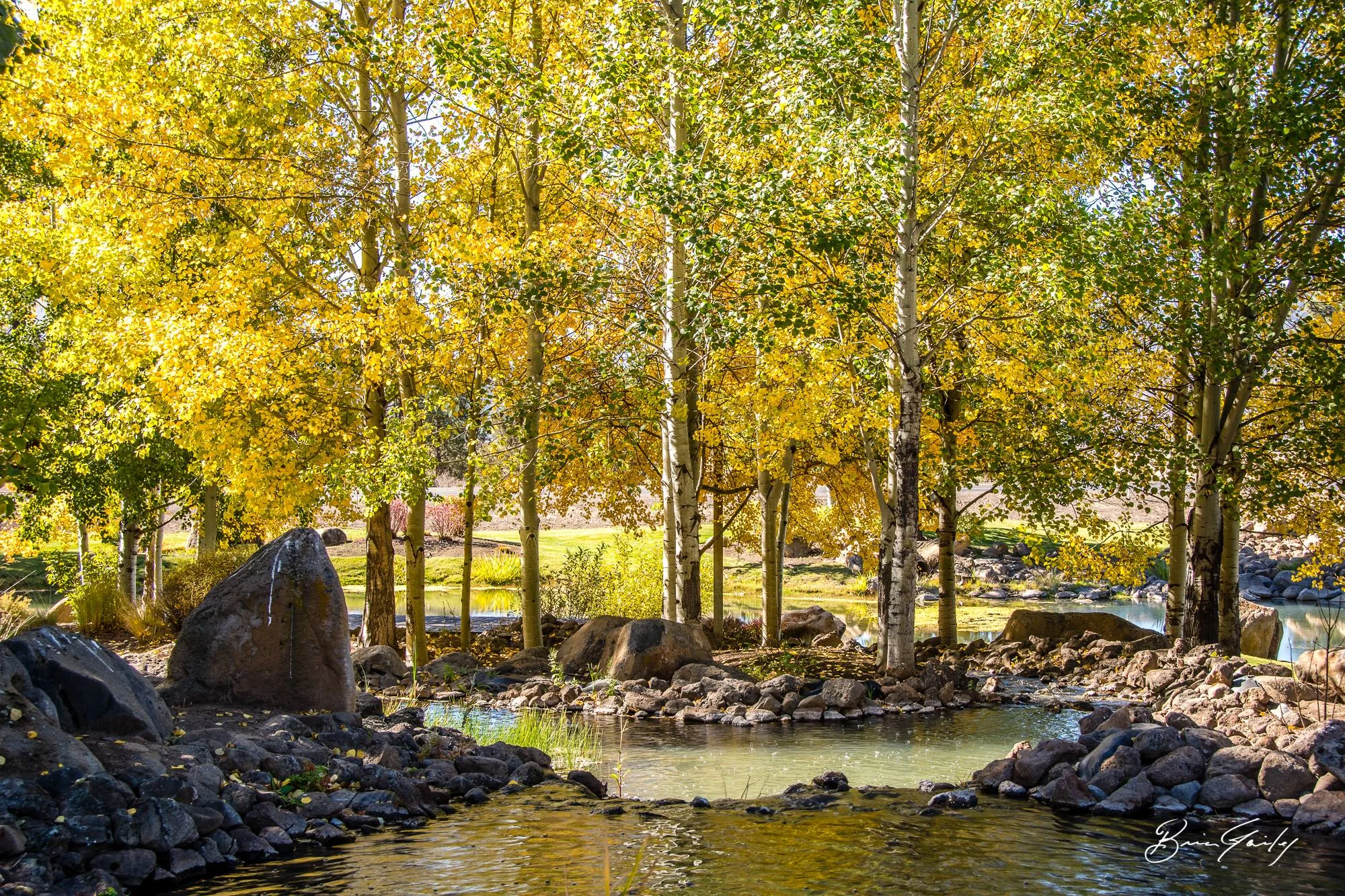 Fall Colors at the Running Y Ranch Resort - Image: Brian Gailey