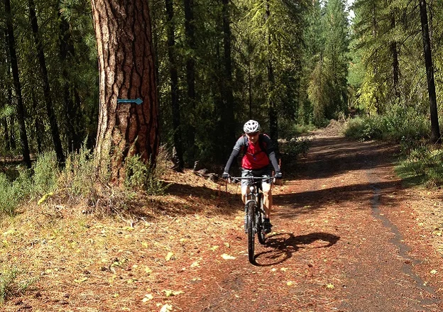 Trail from Collier Park to Kimball Park (DiscoverKlamath.com)