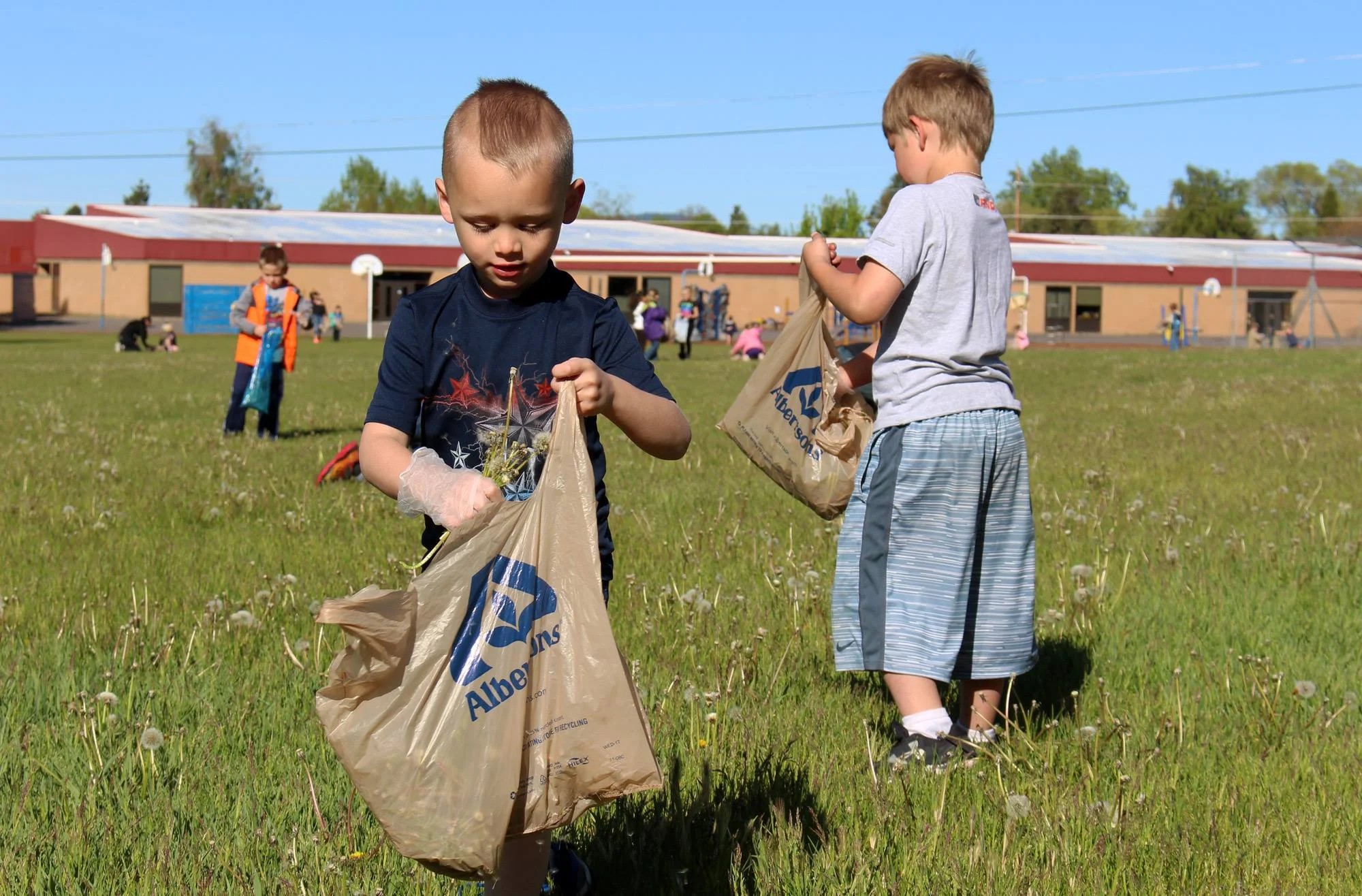 Shasta Elementary kindergarteners pick up litter and pull weeds on the school grounds during Give Back Day on Thursday, May 18. (Samantha Tipler)