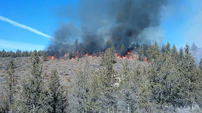 Swanson Canyon Project (Modoc NF)