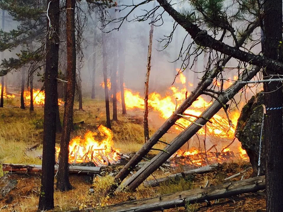 prescribed burn SCOFMP