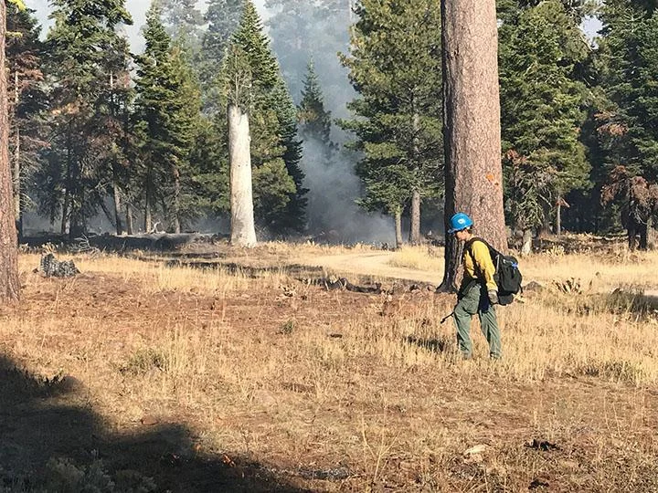 Firefighter on Burnt Willow RX Fall 2017