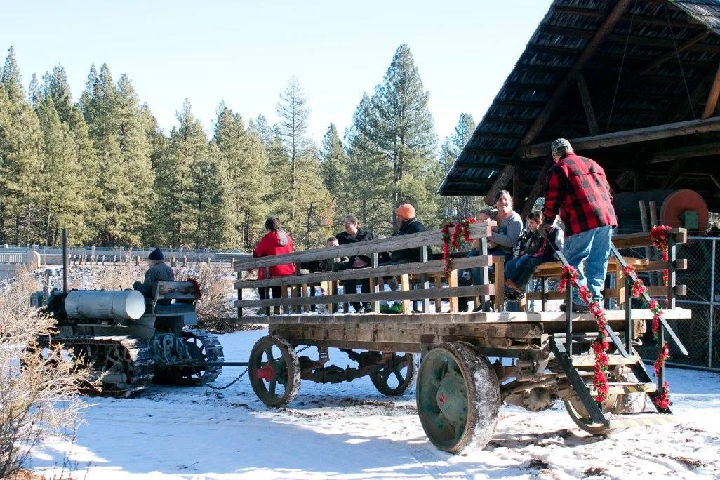 Cat 30 Wagon Rides (Heather Honeywell)