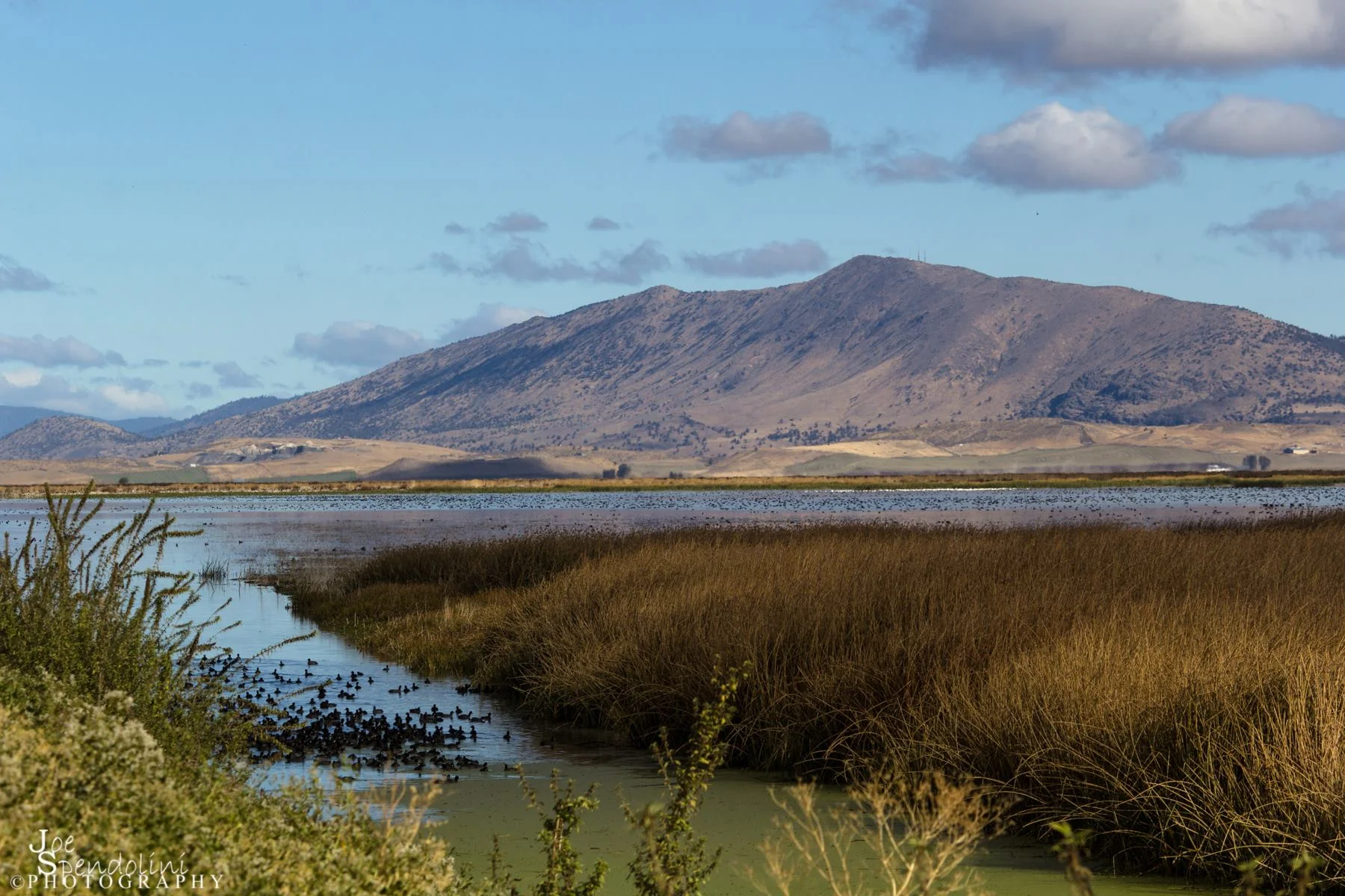 Wetlands are abundant throughout the Klamath Basin NWR Complex. This image shows, Stukel Mountain and wetlands of the Lower Klamath NWR.Image by Joe Spendolini.