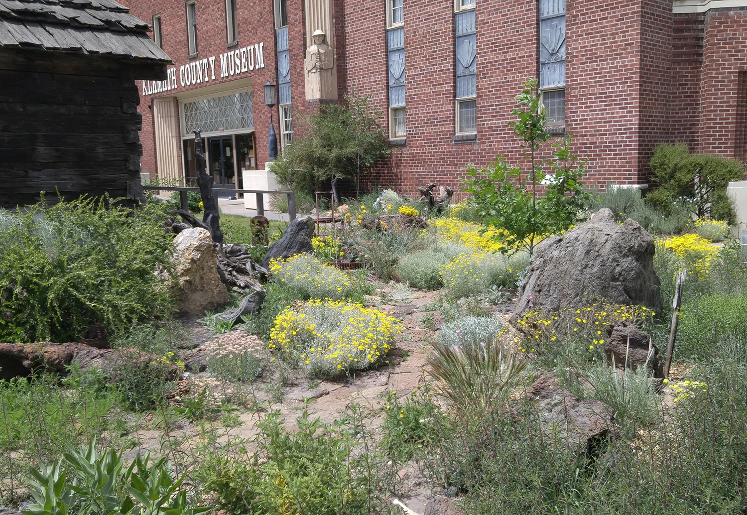 A tour of native trees and shrubs growing at the Klamath County Museum will be offered Saturday, Feb. 24. (Submitted Photo)