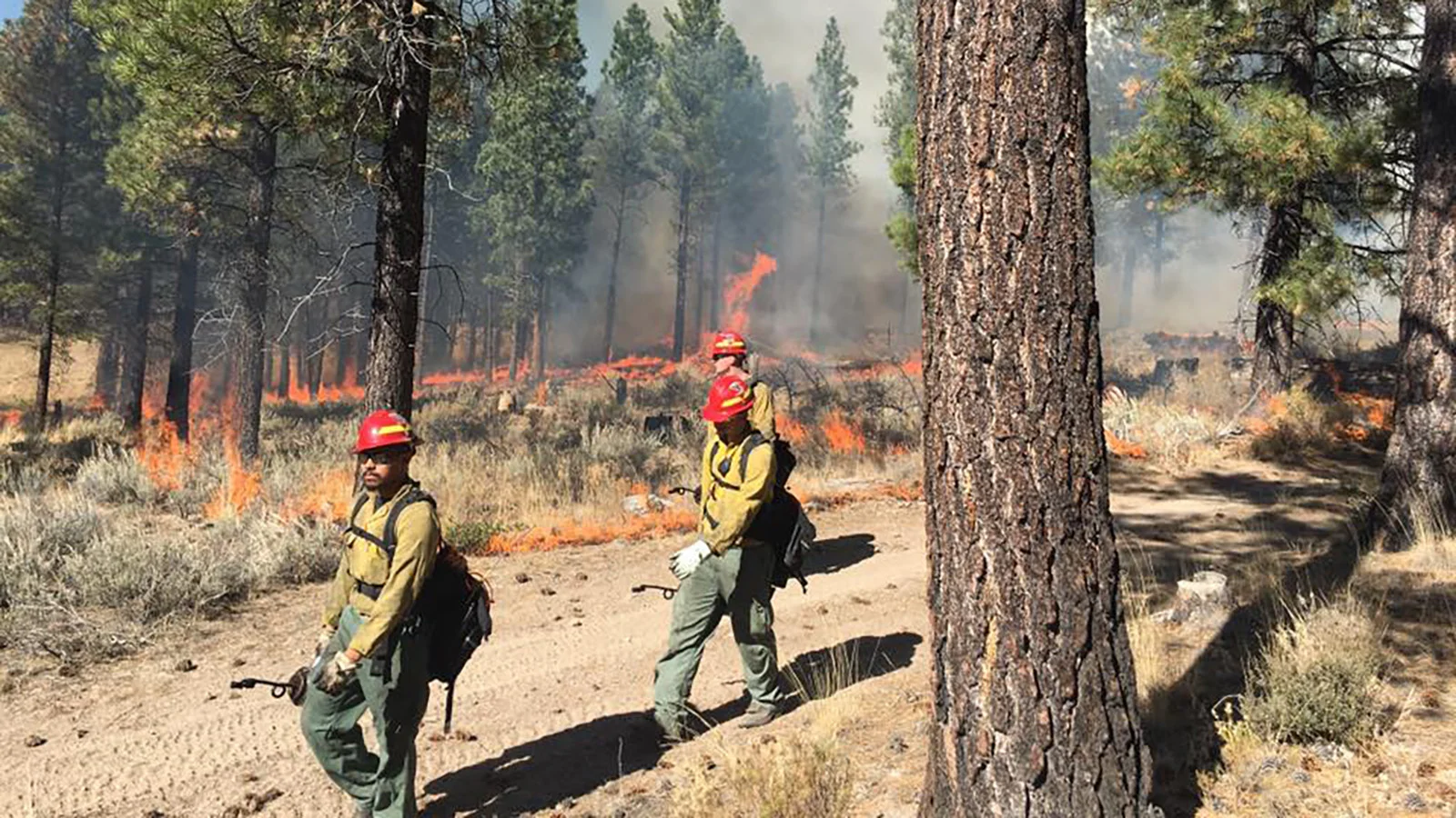 Prescribed Fire Planned for Klamath Falls Near Highway 140