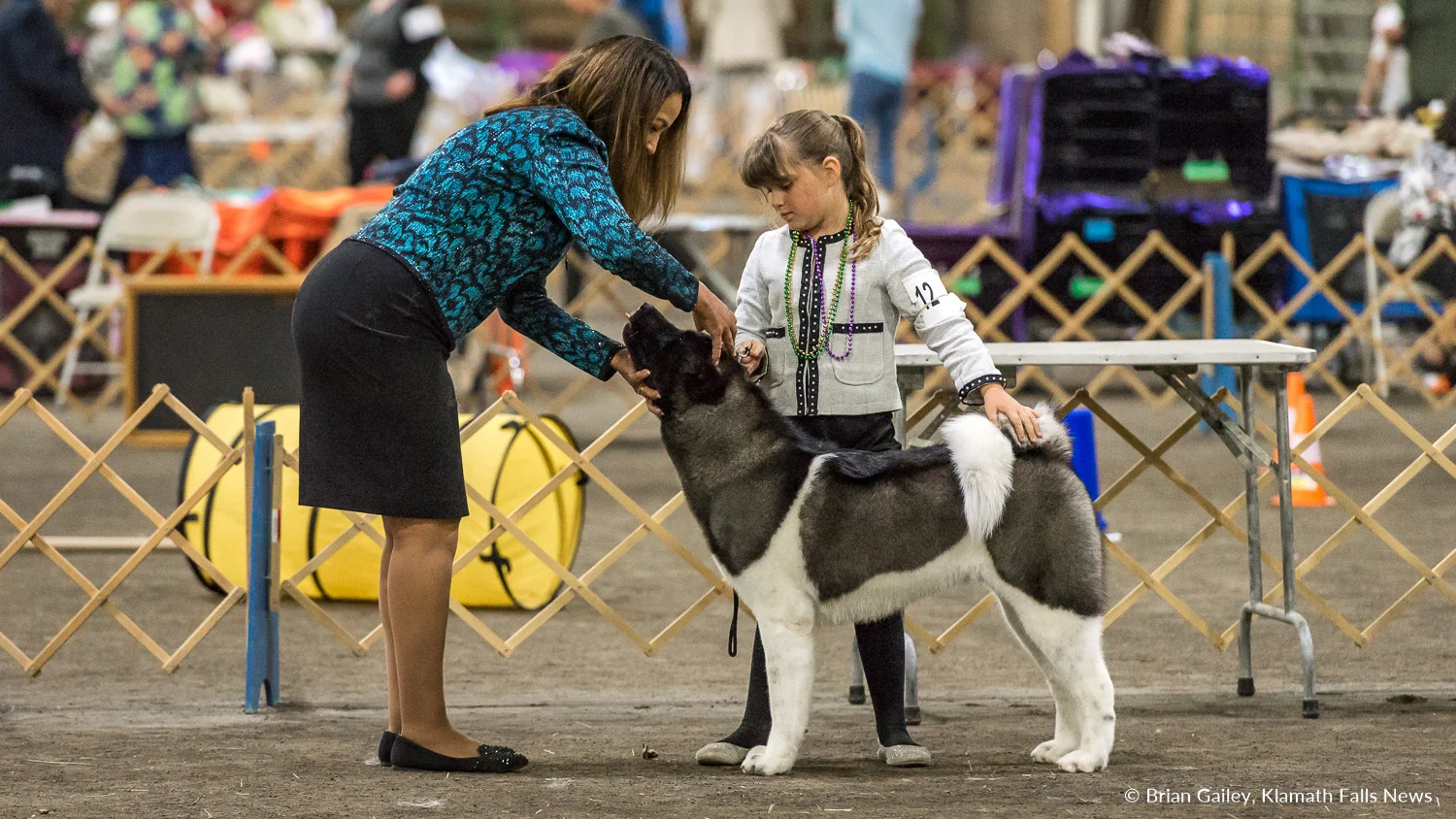 A young showman presents during the Junior Showmanship Competition held Saturday at the Klamath Dog Show. May 12, 2018 (Brian Gailey)