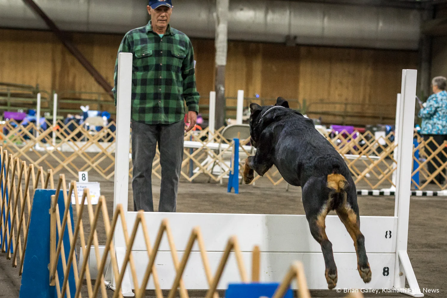 Klamath Dog Show. May 12, 2018 (Brian Gailey)