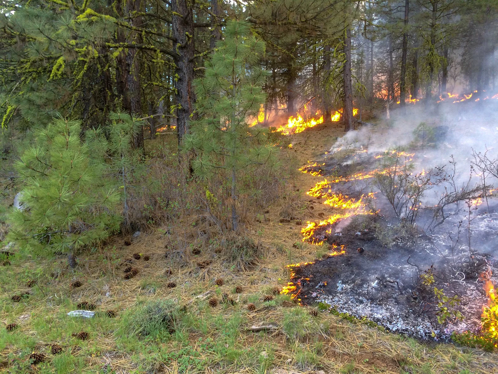 Wildfire Reported South of Bly
