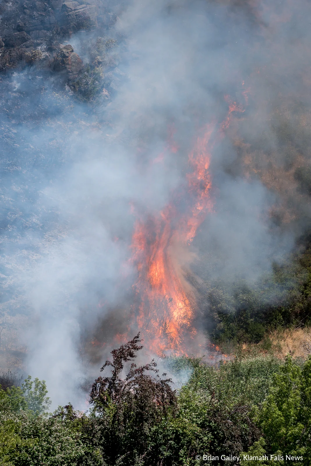 Link Trail Fire Burns Canyon and Conger Heights Park