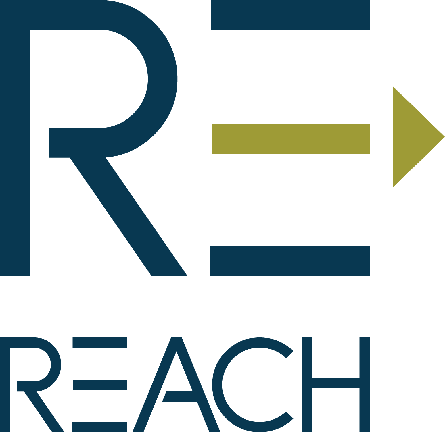 REACH Inc.png