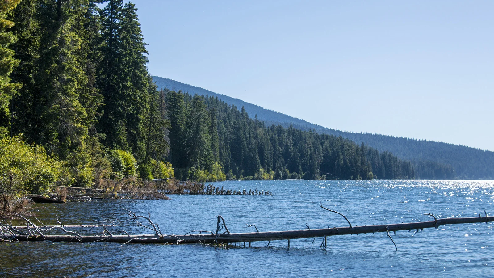 Recreational Use Health Advisory Lifted August 8 for Odell Lake