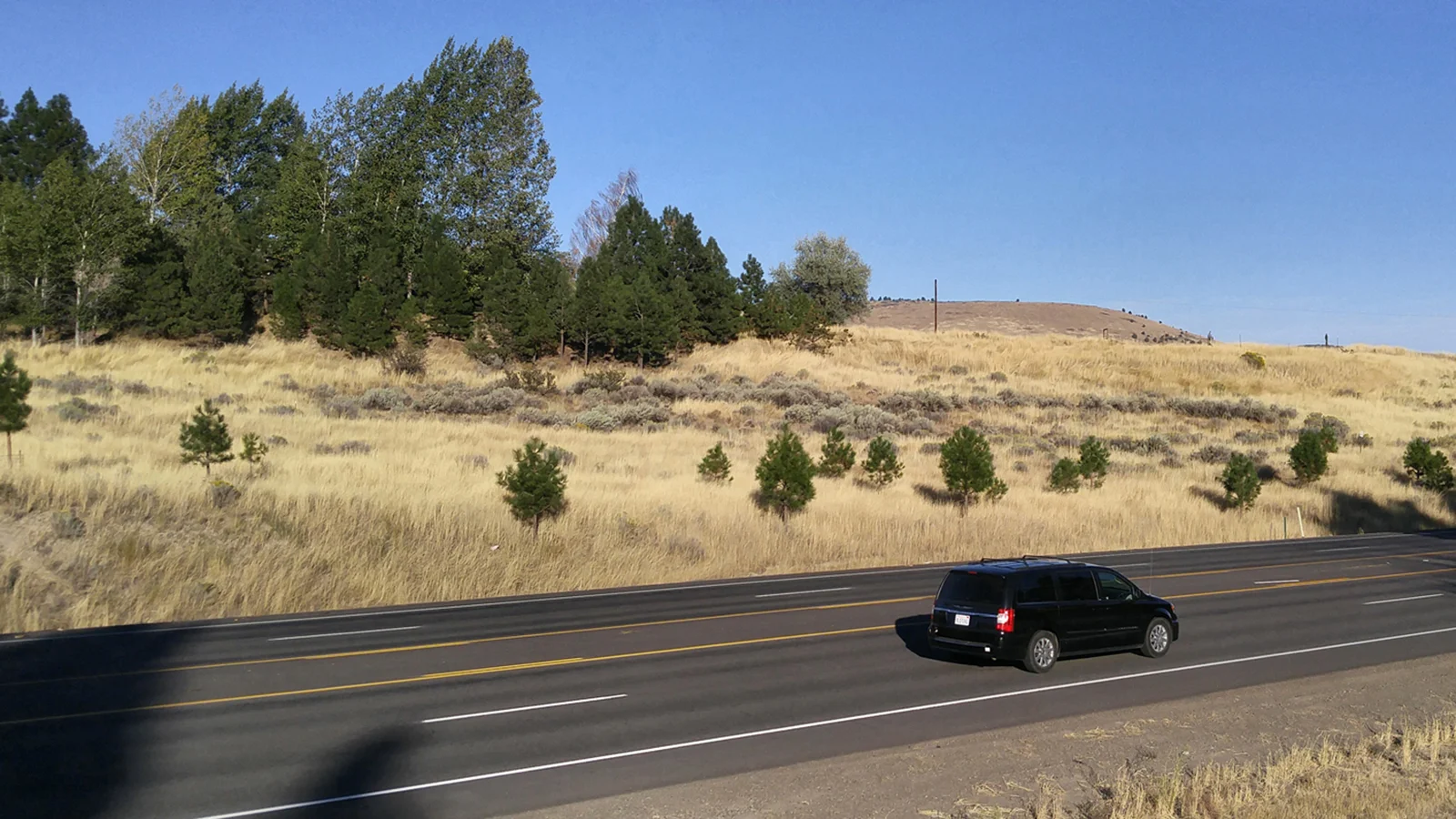 Flowers Sought for Klamath Falls Beautification Project