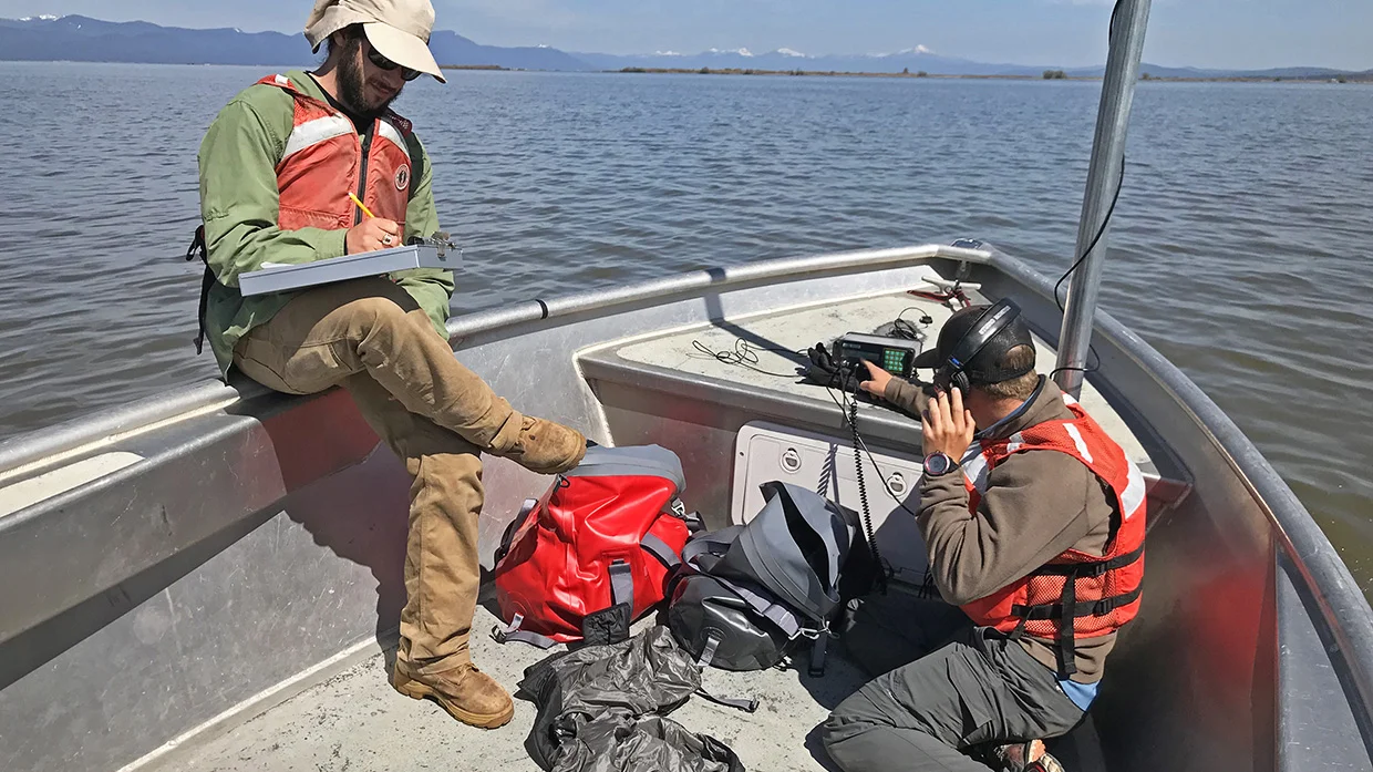 Chris Derrickson, summer technician from Oregon State University, listens for the ‘chirp’ of a radio-tagged sucker as the scanner picks up the signal from the murky waters of Upper Klamath Lake, while Jordan Ortega, Oregon State University field technician, records data. Radio tracking is a new phase of the endangered sucker rearing program in the Klamath Basin. Credit: Kirk Groves/USFWS