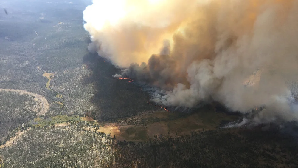 Watson Creek Fire (SCOFMP)