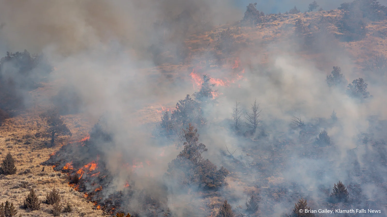 Flames spread on Stukel Mountain following the ignition of a fire near Chalet Drive and Hill Road. January 14, 2019. (Brian Gailey)