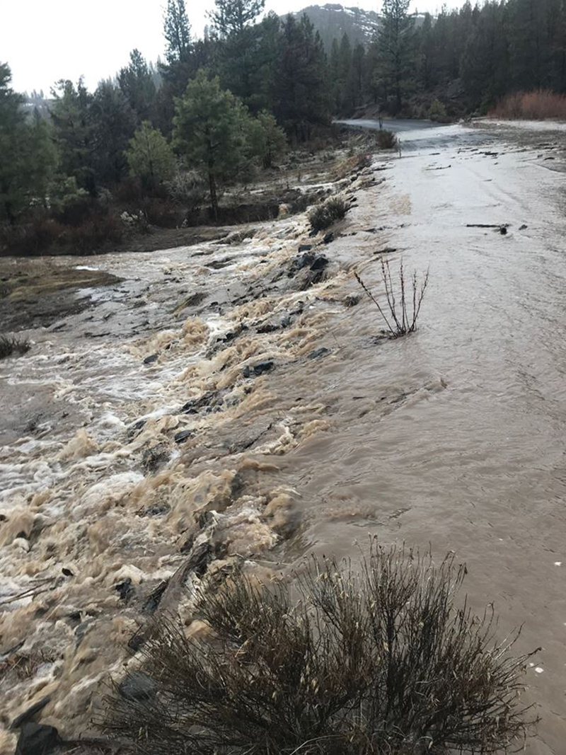 Flooding in Lakeview [VIDEO]