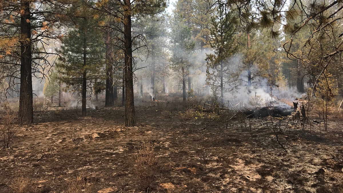 Wildfire Update Bray Mill Fire near Chiloquin