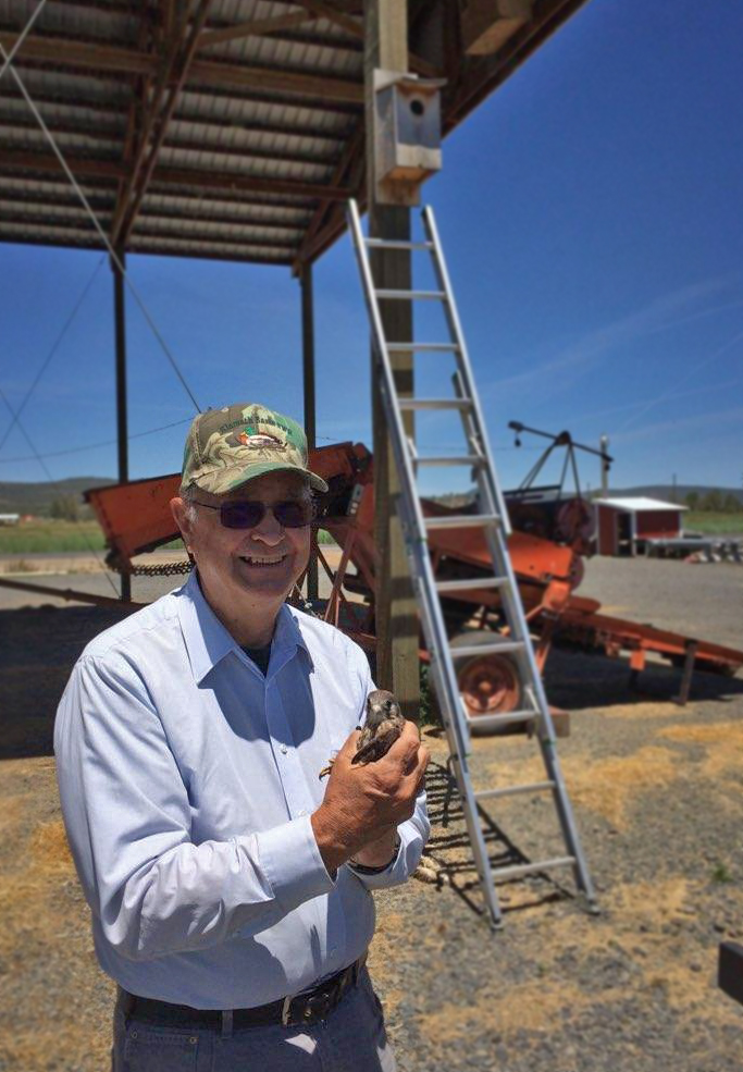 Cy Phillips with a banded kestrel during the 2018 fledgling season. Courtesy photo provided by Cy Phillips/USFWS
