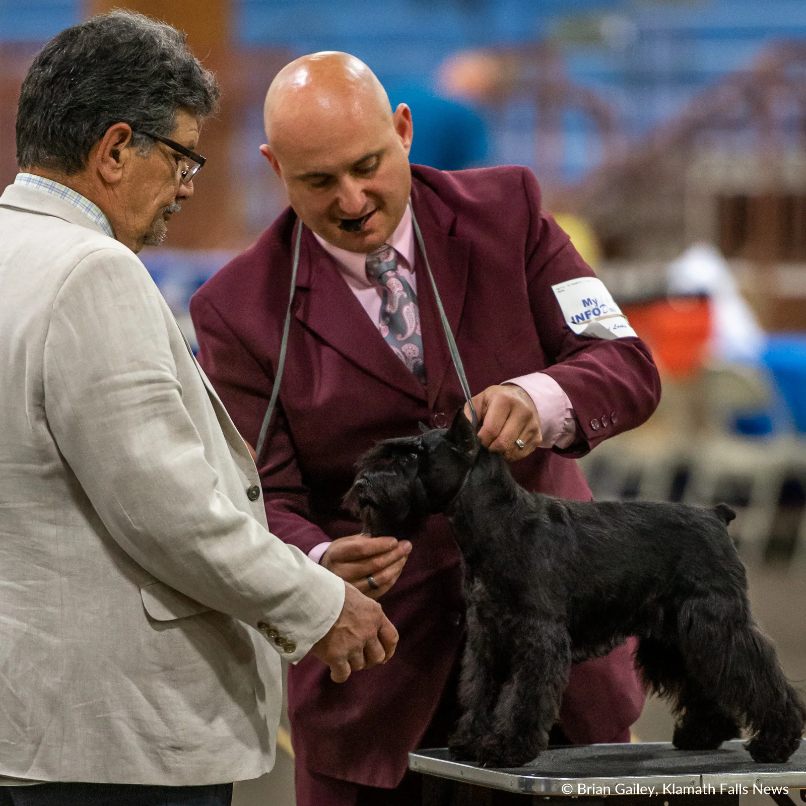 Photo Story Klamath goes to the dogs