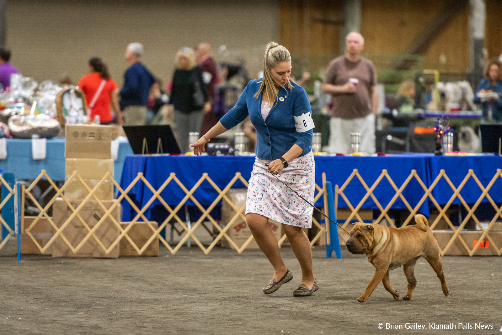 Photo Story Klamath goes to the dogs