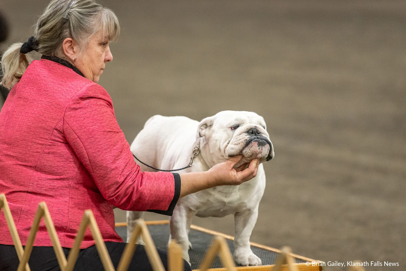 Photo Story Klamath goes to the dogs