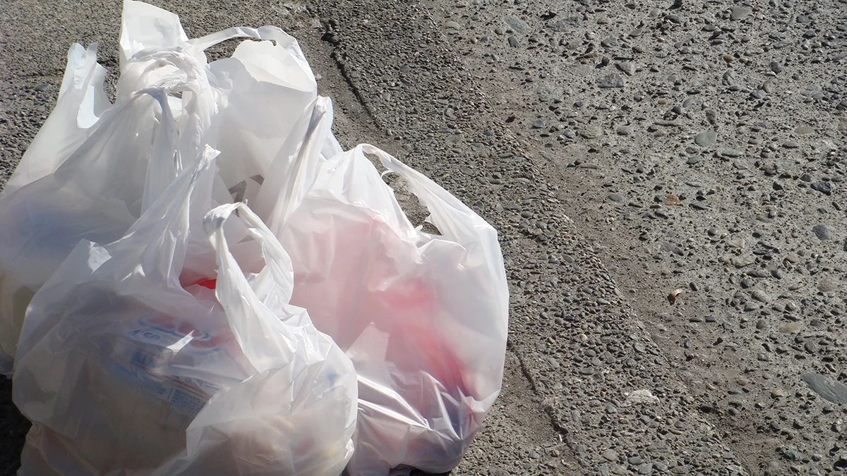 Single use plastic bags will soon be a thing of the past for Oregonians. (Image, velkr0 Flickr)