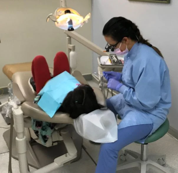 Mayra Rocha Ramos and a Malin Student (OIT)